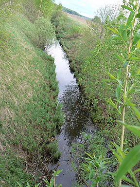 Šaka nuo Pėžaičių–Vanagų kelio