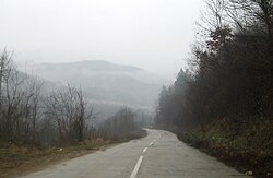 Данковиће.пут - Dankoviće .road.jpg