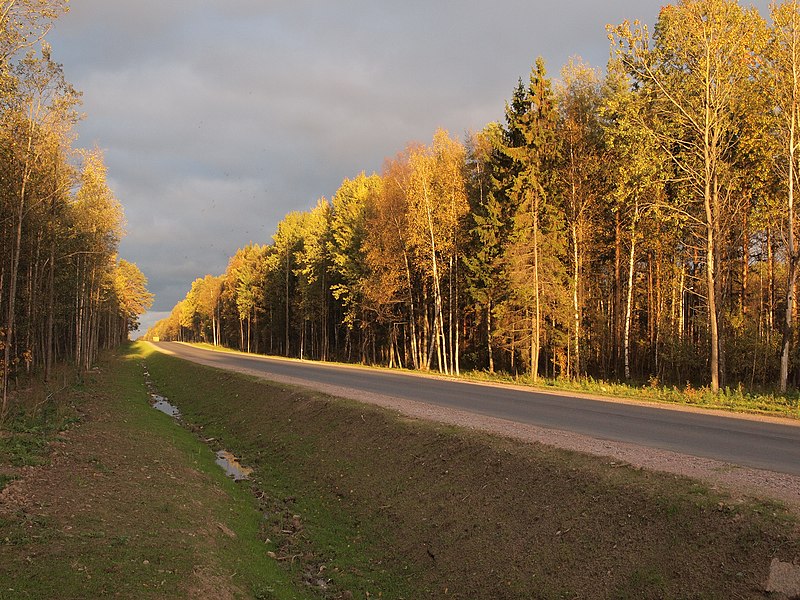 File:Левашовское шоссе. Осень. - panoramio.jpg