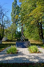 Пам'ятник воїнам-односельчанам, с. Вороневе.jpg