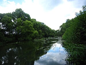 Luža (fiume)