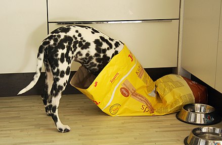 A multiwall bag of dog food