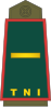 13-ТНИ Армия-2LT.svg