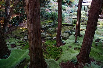 Mountain lawn at Kōzan-ji