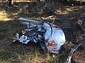 Governor Earl W. Snell Aircraft Crash Site Fremont National Forest