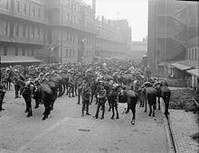 1st Life Guards prepare for war, August 1914. 1st Life Guards August 1914.jpg
