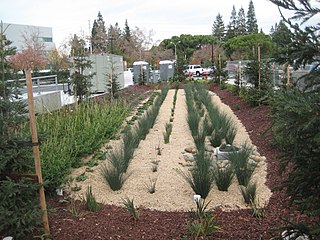 <span class="mw-page-title-main">Green infrastructure for stormwater management</span>