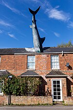 Headington Shark