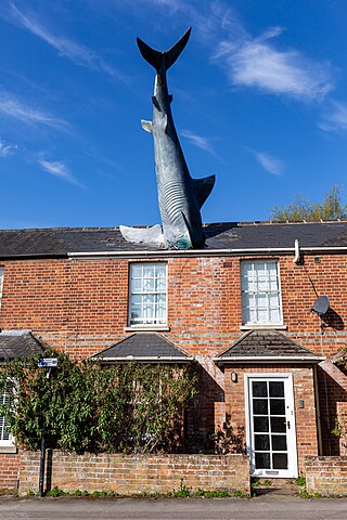 <span class="mw-page-title-main">Headington Shark</span> Sculpture of a shark embedded in a house