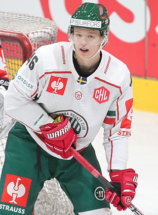 <span class="mw-page-title-main">Liam Dower Nilsson</span> Swedish ice hockey player (born 2003)