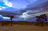 Nubi enormi che spazzano il deserto del Mojave