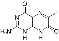 Struktur von 6-Methylisoxanthopterin