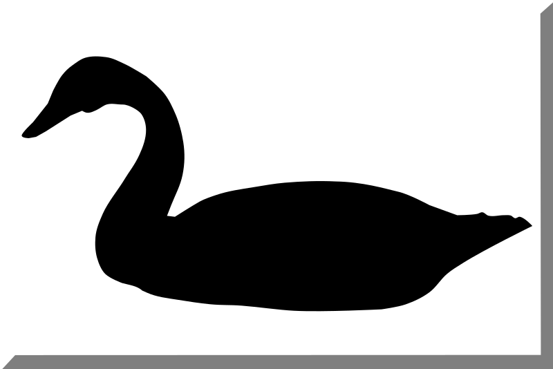 File:600px Bianco con cigno Nero.svg