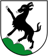 Coat of arms of the municipality of Kitzbühel