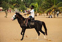 A man on a horse