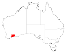 Acacia diaphyllodineaDistMap282.png