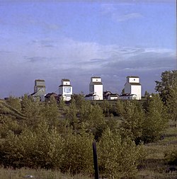 Elevator biji-bijian, 1975