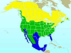 American Robin-rangemap.png