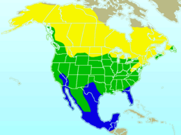 Elterjedési területe (a sárgában csak nyáron, a zöldben egész évben és a kékben csak télen)