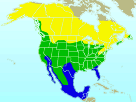 American Robin-rangemap.png