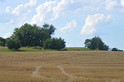 Anderson House site near Haskingsville.jpg