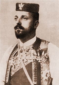 Andrija Radović
