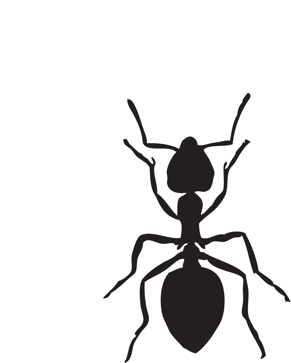Download File Ant Clipart Svg Wikimedia Commons