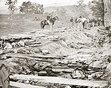 Confederate dead at Bloody Lane, looking northeast from the south bank. Alexander Gardner photograph.[103]