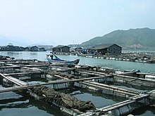Mynd af fiskeldi við Fuzhou borg.