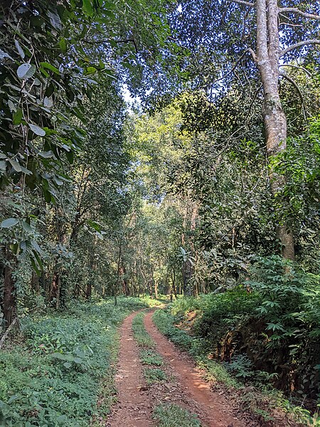 File:Aralam Wildlife Sanctuary during Annual Butterfly Survey 2022 (204).jpg