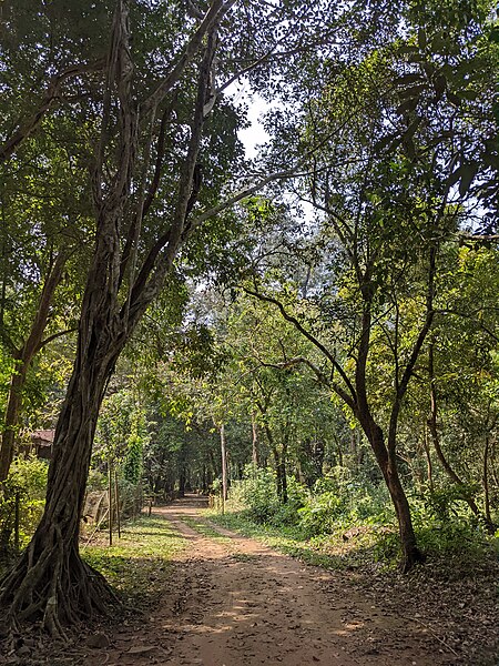 File:Aralam Wildlife Sanctuary during Annual Butterfly Survey 2022 (272).jpg