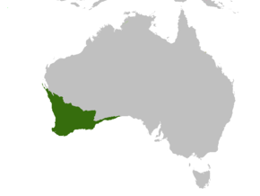 Az Australia-ecoregion SW.png kép leírása.
