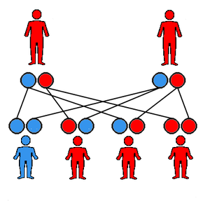 Dominansforhold: Nomenklatur, Punnett square, Dominant allel