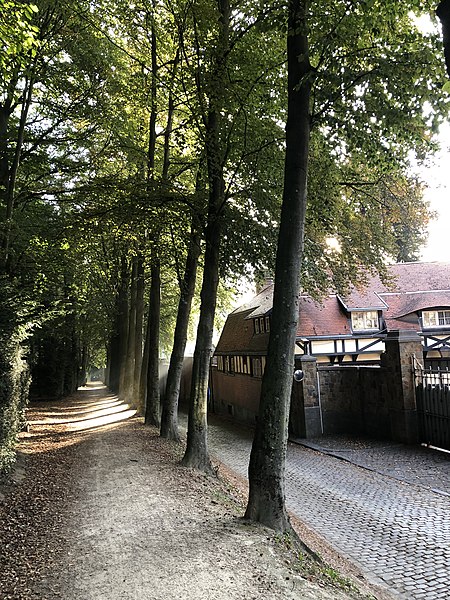 Avenue de la Clairière