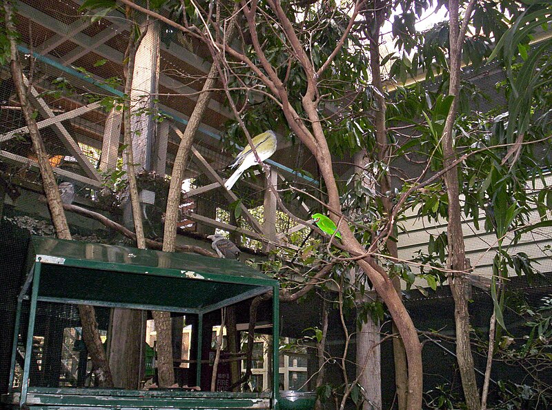 File:Aviary-at-Brisbane-Forest-Park-2.JPG