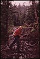 BADLY TRAMPLED TRAILS BECOME MUDHOLES AND MAKE HIKING DIFFICULT. OVERUSE IN THE HIGH PEAKS REGION OF THE ADIRONDACK... - NARA - 554557.jpg