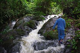 Balade sur une cascade de Mboué