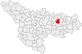 Location in Timiș County