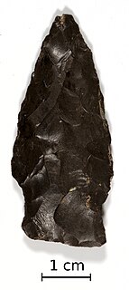 Bare Island projectile point