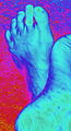 Bare Feet Picassa.JPG