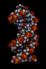 Vignette pour Modélisation moléculaire