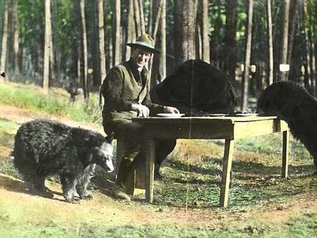 File:Bear_dinner_1922.jpg