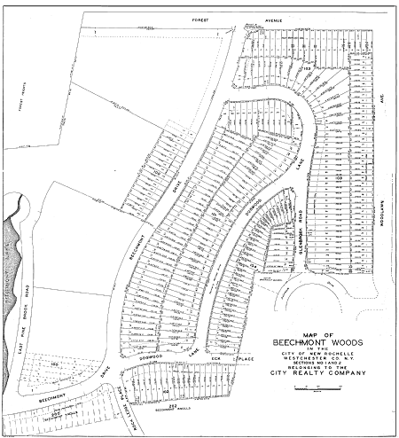 Beechmont woods 1.tif