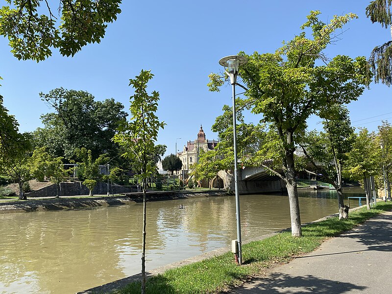 File:Bega, Timișoara, August 2022 (3).jpg