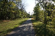 English: In Berwyn Heights, Maryland, a path at Indina Creek Trail