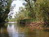 Biesbosch Ulusal Parkı