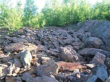 Ein Feld von grauen und braunen Felsen mit Bäumen im Hintergrund.