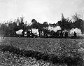 Kansas Volunteer Infantry in action