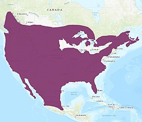 Hartă arătând arealul râsului roșu din 2016