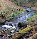 Thumbnail for Boeing Creek and Shoreview Park